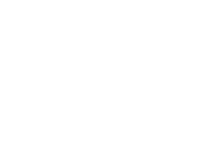 boleir
