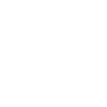 boleir